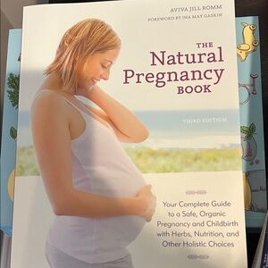 The Natural Pregnancy Book